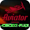 bbl cricket - Premium Edition v5.2.0