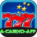 Bingo Patti Mega Casino App