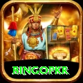 bingopkr - Premium Earning App