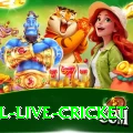 bpl live cricket Official v4.1.8
