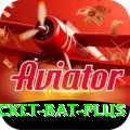 cricket bat Super v4.8.3