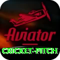 cricket pitch Slots Supreme v1.9.3