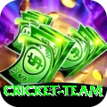 cricket team - VIP Champion
