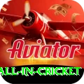 fastest ball in cricket Official v1.6.1