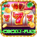 fastest ball in cricket - Casino Mega