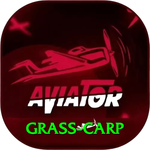 grass carp APK Prime v2.2.0 - 2
