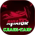grass carp APK Prime v2.2.0