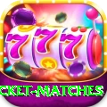 india upcoming cricket matches Game Plus v1.0.9