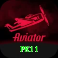 pk11 Pro v4.5.9