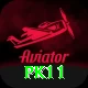 pk11 Pro v4.5.9
