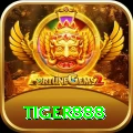 tiger888 - Slots Gold