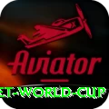 u19 cricket world cup Bonus Prime v1.6.1
