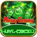 watch live cricket Slots Master v5.3.7